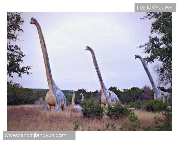 恐龙姚明身高揭秘:他究竟有多高与恐龙相比是否相差甚远 恐龙姚明身高揭秘:他究竟有多高与恐龙相比是否相差甚远