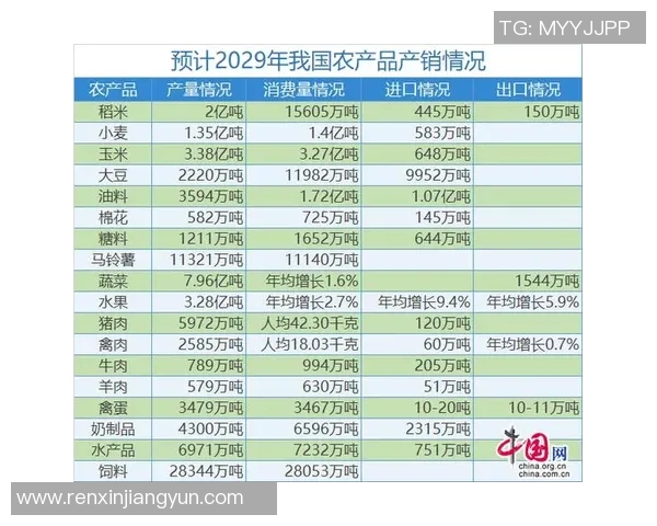 2021年法国足球明星的辉煌成就与未来展望分析 2021年法国足球明星的辉煌成就与未来展望分析